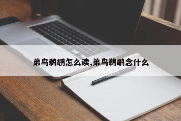弟鸟鹈鹕怎么读,弟鸟鹈鹕念什么