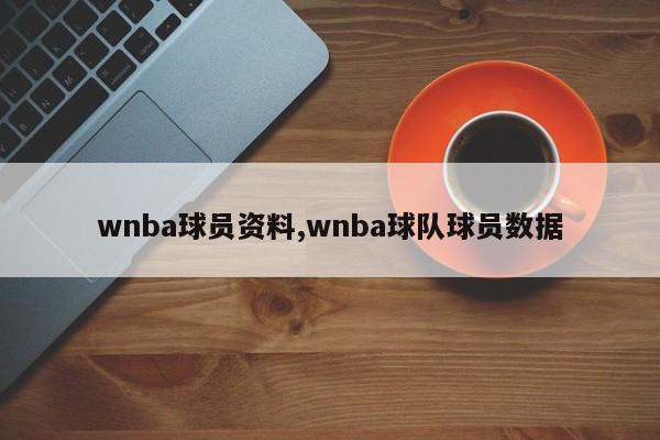 wnba球员资料,wnba球队球员数据