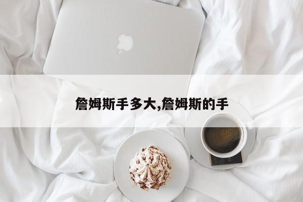 詹姆斯手多大,詹姆斯的手